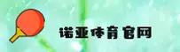 使用指南与常见问题